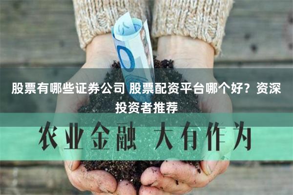 股票有哪些证券公司 股票配资平台哪个好？资深投资者推荐