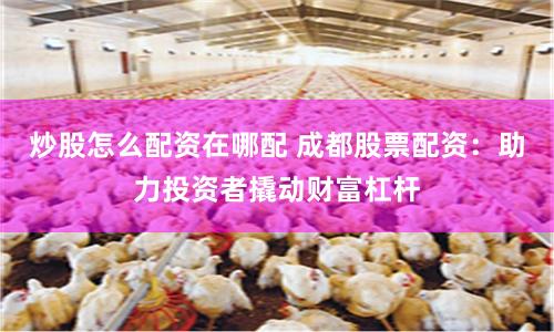 炒股怎么配资在哪配 成都股票配资：助力投资者撬动财富杠杆