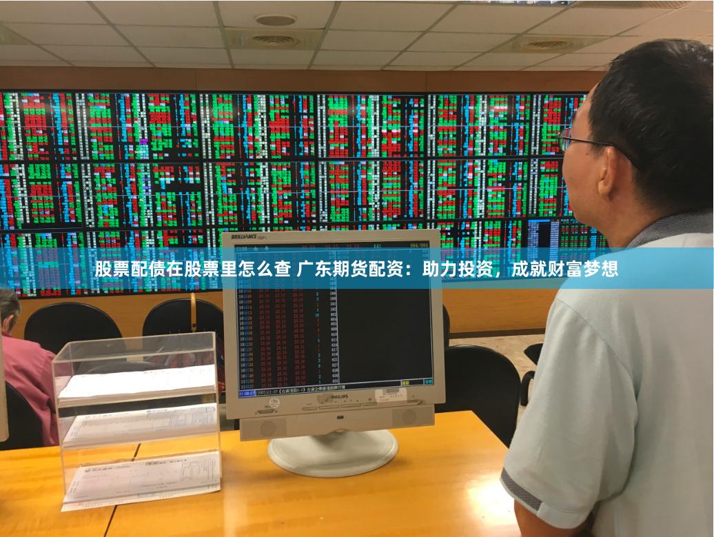 股票配债在股票里怎么查 广东期货配资：助力投资，成就财富梦想